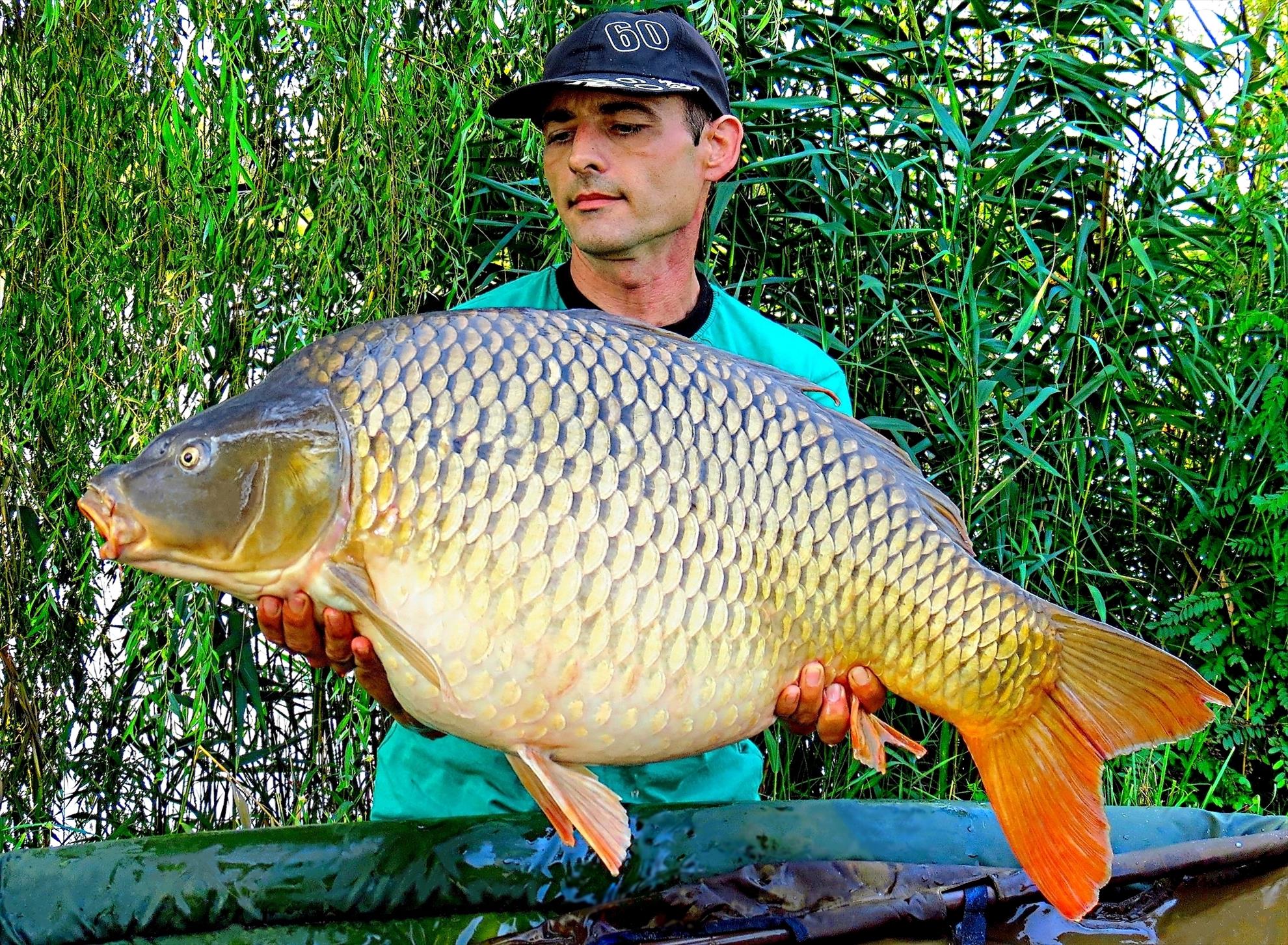 Palici - 003-img5905---1632-kg.JPG